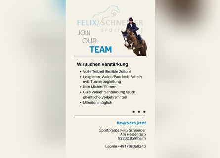 Offre d'emploi à partir de maintenant !