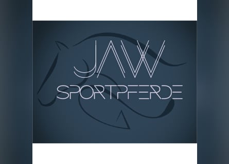 Stallmanager gesucht auf kleiner Reitanlage!