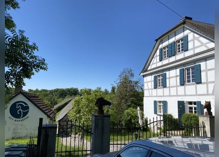 Stallhilfe gesucht 