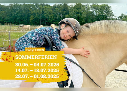 Reiterferien „Sommertraum“