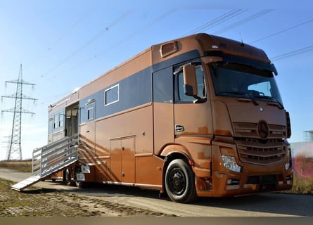 Camion pour chevaux en peinture spéciale
