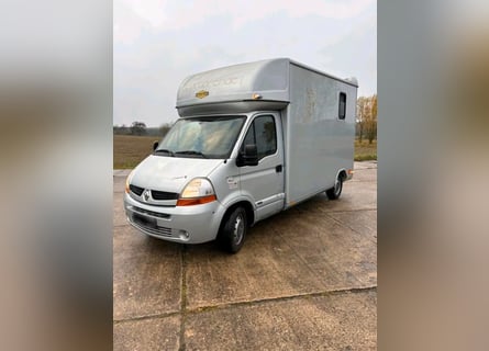 Transporteur pour chevaux Renault Master d'occasion
