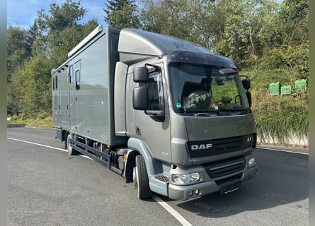 DAF Pferdetransporter, 5 Pferde, Wohnabteil, zGG 11.990 kg, EHC GERMAN COACHBUILDERS