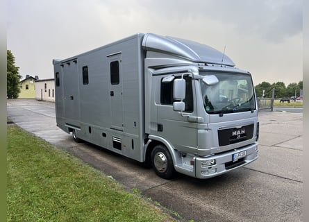 MAN TGL Tagesturniertransporter 4 Pferde 
