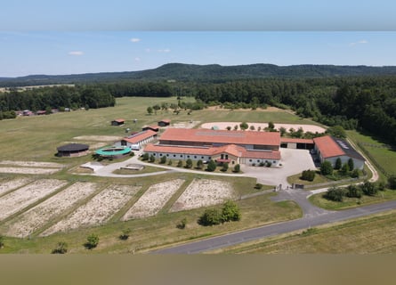 Centro ecuestre para el gran deporte en Franken V14177 – sin comisión
