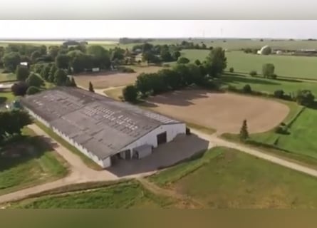 Complejo ecuestre de 15 hectáreas cerca del Mar Báltico – parcelas consolidadas
