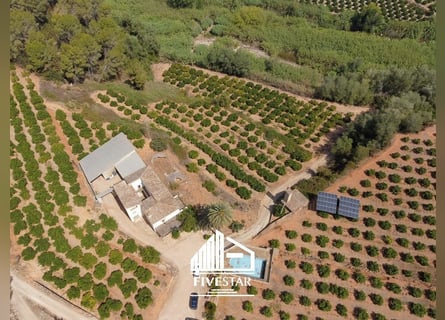 Encantadora finca para amantes, ideal para la cría de caballos