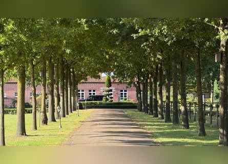 Exclusiva finca de campo con casa de huéspedes, gran granero y establo para caballos