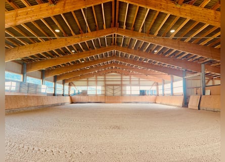 Exclusiva finca ecuestre con vistas a los Alpes – Paraíso para caballos con gran potencial V13084