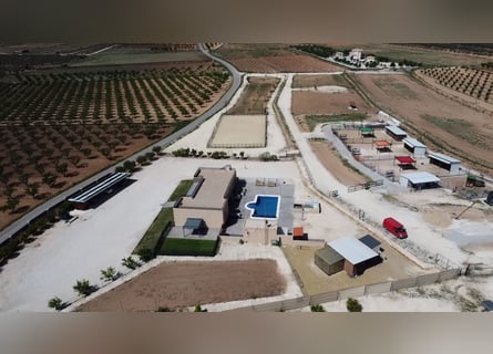 Finca ecuestre de lujo con casa de campo de lujo