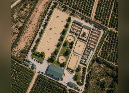 Finca ecuestre en Valencia