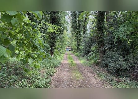 Finca histórica con estructura tradicional en venta, desde 1,9 ha hasta 9 ha
