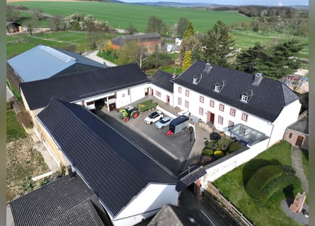 Finca histórica de forma cuadrada con instalaciones ecuestres