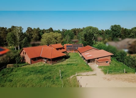 Hermoso finca campestre para amantes de los caballos