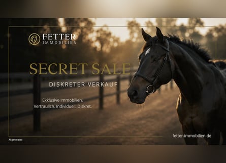 Instalaciones ecuestres en Renania del Norte-Westfalia en el segmento exclusivo – Venta discreta (Se