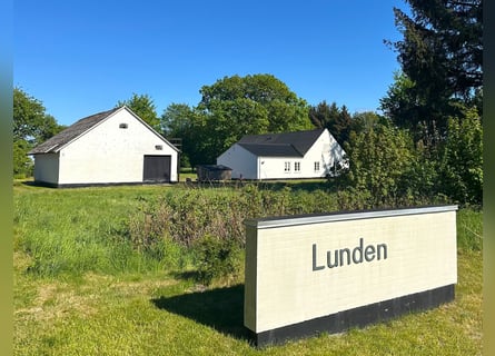 ISLANDGESTÜT MIT 62 HEKTAR IN NORDJÜTLAND ZU KAUFEN