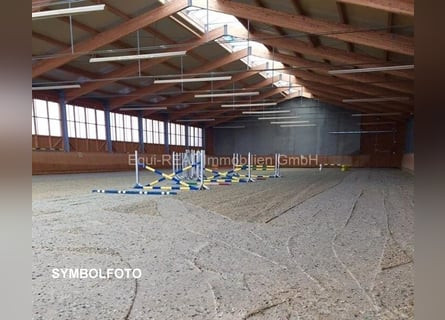 Moderne Reitanlage in Wien-Nähe
