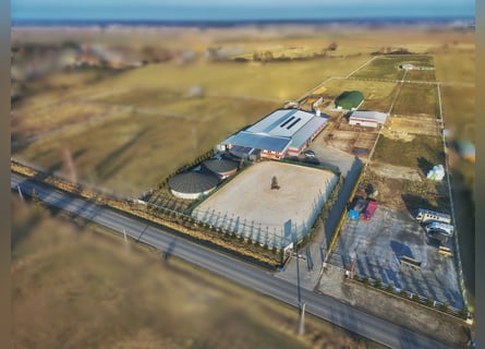 Na sprzedaż nowoczesny ośrodek jeździecki 