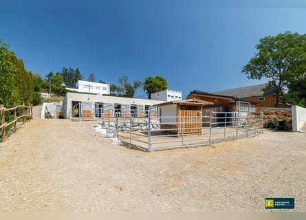 Paraíso ecuestre a las puertas de Viena: nueva instalación de equitación con equipamiento de última
