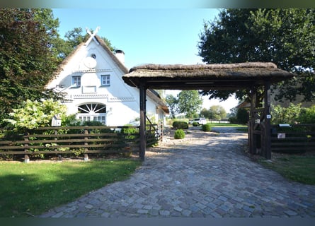 Rancho ecuestre en 5,7 hectáreas! Propiedad de ensueño con casa de techo de paja, casa de huéspedes 