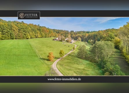 Reitanlage in Baden-Württemberg zu verkaufen – Malerische Alleinlage in der Nähe von Göppingen!