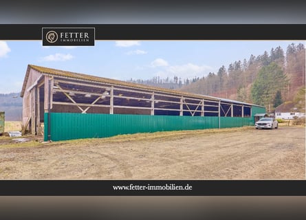 Reitanlage in Westfalen – Reitertraum im Dornröschenschlaf in Bad Laasphe