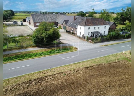Reitanlage mit arrondierter Flächenausstattung in Alpen