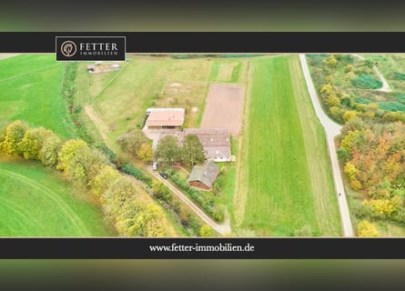 Ruhig gelegener Pferdehof in Lorsch an der Bergstraße mit romantischem Holzhaus!