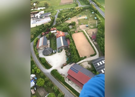 Stalltrakt oder Paddockboxen mit Freilauf für Selbstversorger auf Reitanlage 