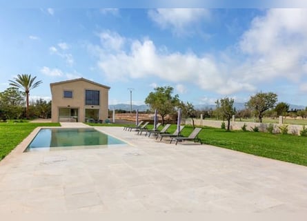 Tradition trifft Moderne – Ein mallorquinisches Landgut im zeitlosen Glanz