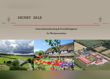 Venta secreta - Ubicación consolidada para deportes ecuestres al sureste de Hamburgo