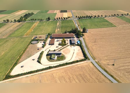 Villa de arquitectura moderna con pista cubierta de 60 m y un innovador concepto de manejo V14935