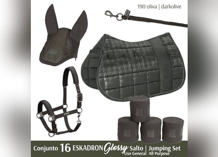 CONJUNTO Nº16 ESKADRON GLOSSY