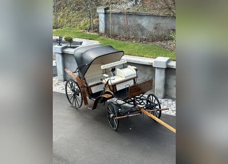 Viktorija Carriage 