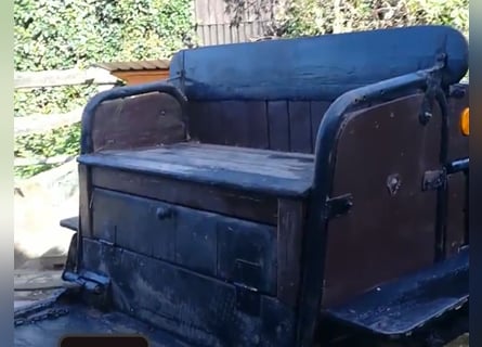 Carruaje para ponis