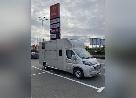 Furgoneta Peugeot Boxer 2024, solo 29.000 km, nueva carrocería, en garantía