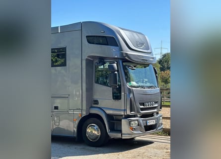 IVECO Equix 4 Pferdetransporter