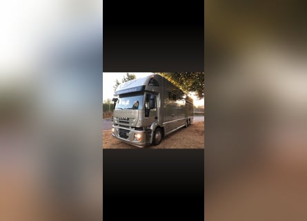 Camión Iveco STX para 6 caballos