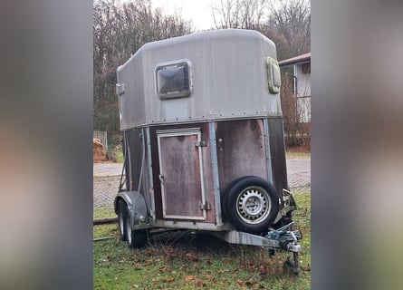 Pferdeanhänger mit Lebenserfahrung 