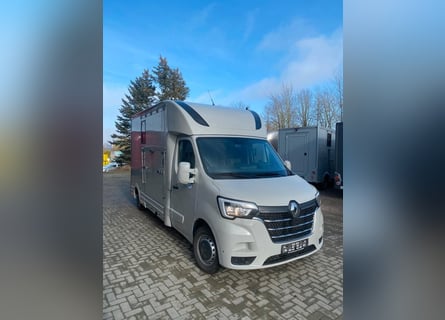 Renault transport de chevaux 3,5t, 1-2 Pf., 180 PS, Auf. NOUVEAU
