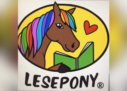 Reitpädagogik-Ausbildung Pony-Motion®️