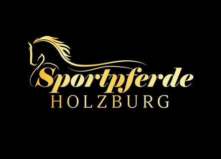 Bereiter/in mit oder ohne Prüfung