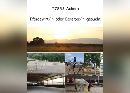 *** Motivierte, engagierte Reiter/in, Praktikant/in gesucht ***