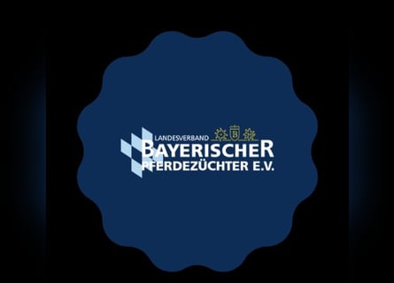 Pferdepfleger (m / w / d) 