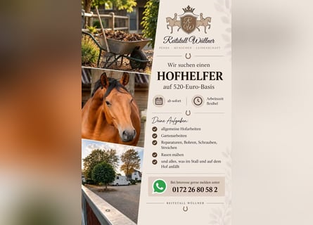 Asistente de finca, "hombre" para todo, artesano