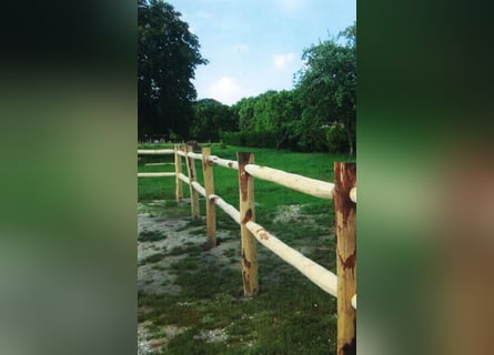 Holz Zaun für Pferdekoppel I Weide Zaun I Edelkastanie 