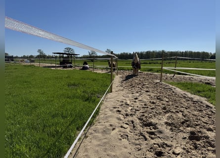 Pista de senderismo directamente en el Mar del Norte