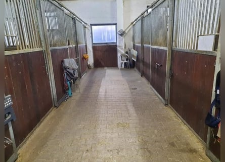 Stalltrakt zu verpachten 