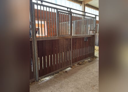 Boxes para caballos en venta