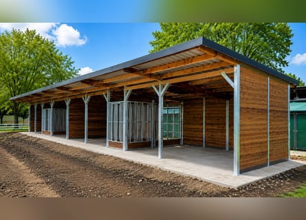 Construcción de paddock abierto y refugio para caballos, refugio para pasto | Caseta para caballos